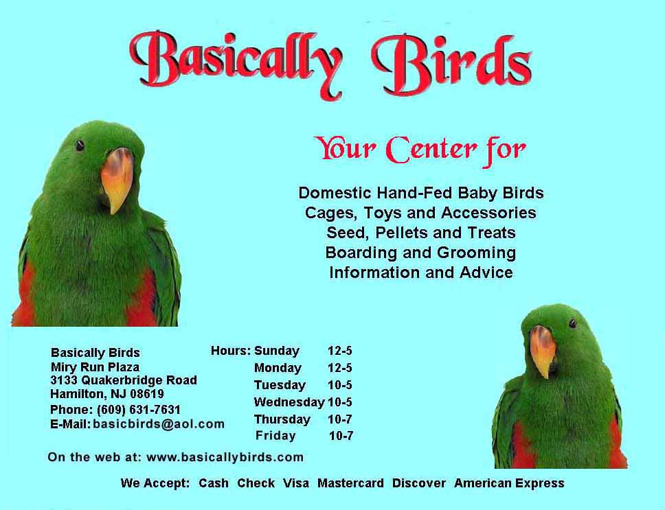 Basically Birds