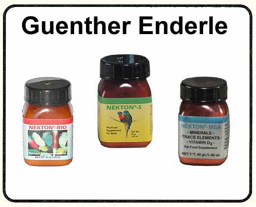 Guenther Enderle