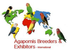 Agapornis Breeders & Exhibitors