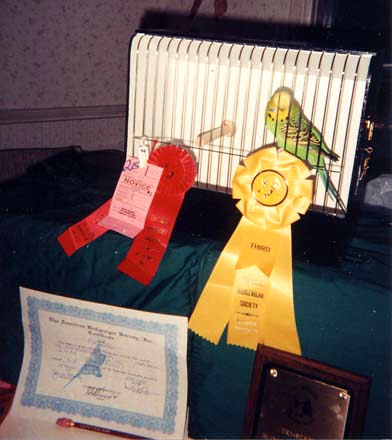 Tri-State 1996 - 3rd Place Novice